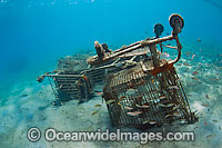 Littered shopping carts in ocean Photo - Michael Patrick O'Neill