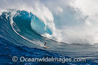 Surfer in wave curl Hawaii Photo - David Fleetham