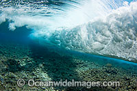 Surf crashing on reef Photo - David Fleetham
