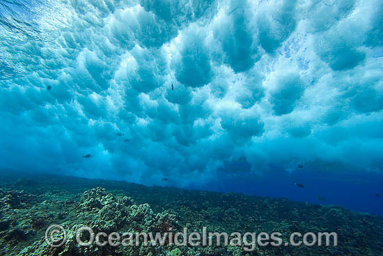 Wave crashing on reef photo