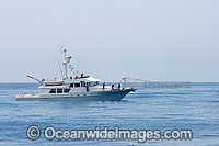 Swordfish fishing vessel Photo - David Fleetham