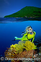 Scuba Diver with Crinoids Photo - David Fleetham