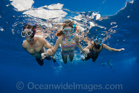 Snorkelers exploring reef photo
