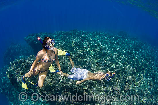 Snorkelers exploring reef photo