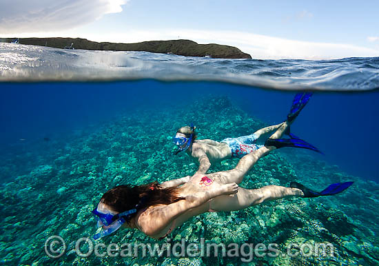 Snorkelers in Hawaii photo