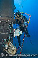 Commercial Diving Photo - David Fleetham