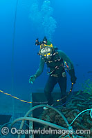 Commercial Diving Photo - David Fleetham