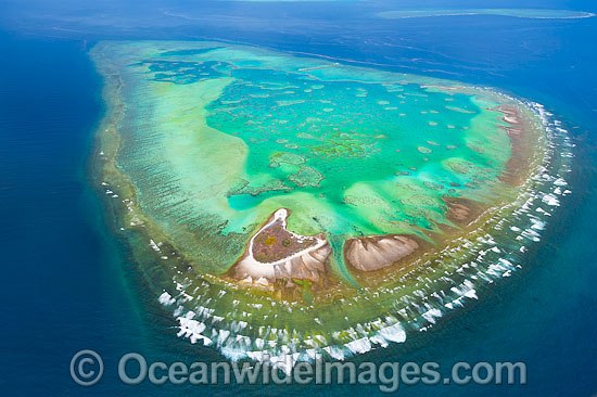 One Tree Island and Sykes Reef photo
