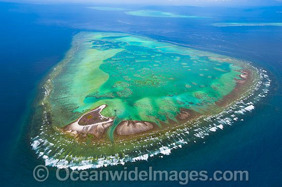 One Tree Island with Wistari Reef photo