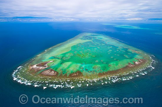 One Tree Island and Heron Reef photo