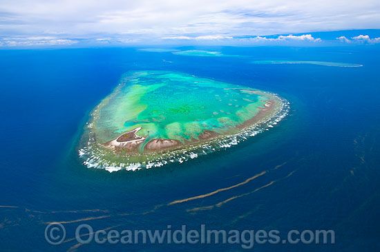 One Tree Island and Wistari Reef photo