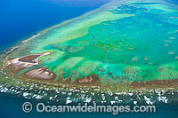 One Tree Island reef lagoon Photo - Gary Bell