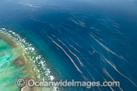 One Tree Island reef Photo - Gary Bell