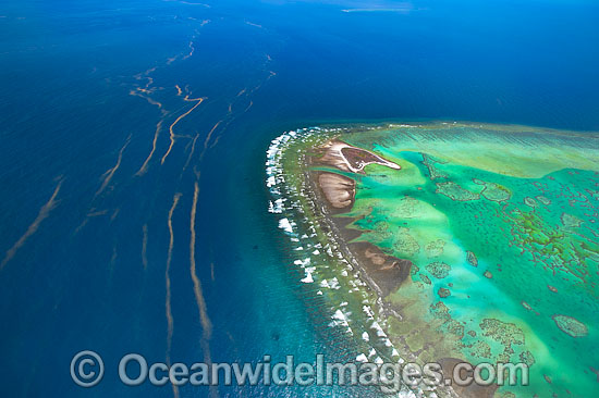 One Tree Island reef aerial photo