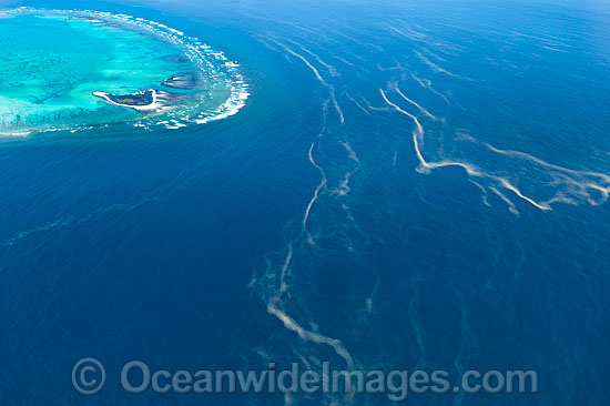 One Tree Island and Red Tide photo