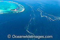 One Tree Island and Red Tide Photo - Gary Bell