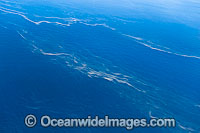 Red Tide Great Barrier Reef Photo - Gary Bell
