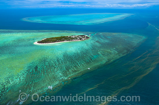 Heron Island Reef photo