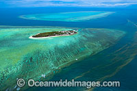 Heron Island Reef Photo - Gary Bell