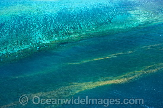 Red Tide close to Heron Island photo