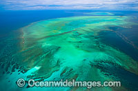 Heron Island and Wistari Reef Photo - Gary Bell
