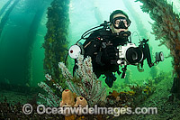Scuba Diver under Jetty in South Australia Photo - Michael Patrick O'Neill