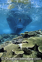 Semi-submersible at Heron Island Photo - Gary Bell