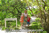 Tourists in Forest on Heron Island Photo - Gary Bell