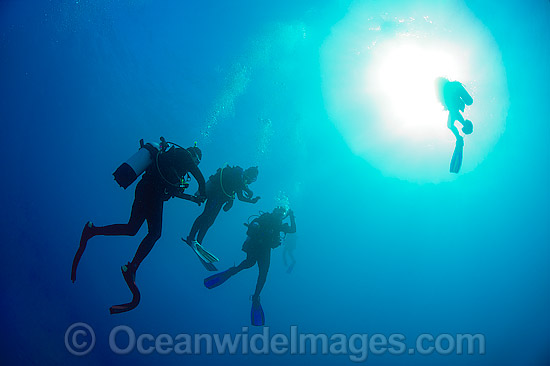 Scuba Divers doing safety stop photo