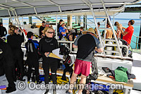 Scuba Divers on Heron Island Dive Boat Photo - Gary Bell