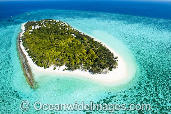 Aerial of Heron Island photo