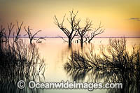 Lake Menindee at sunset Photo - Gary Bell