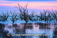 Lake Menindee at twilight Photo - Gary Bell