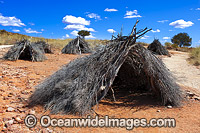 Aboriginal Shelters Yapara Photo - Gary Bell