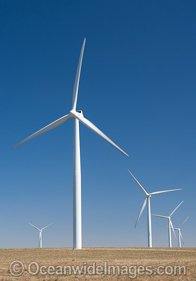 Wind Farm photo