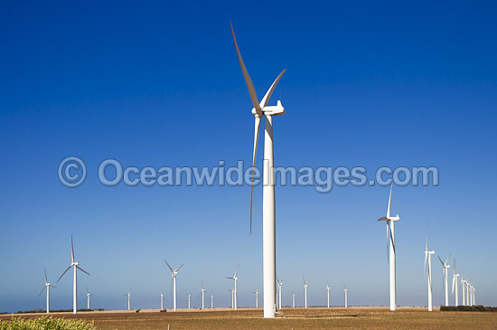 Australian Wind Farm photo
