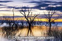 Lake Menindee at dawn sunrise Photo - Gary Bell