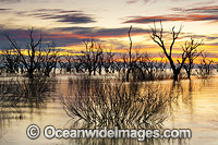 Lake Menindee at dawn sunrise Photo - Gary Bell