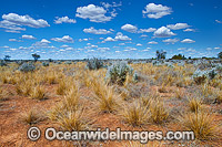 Outback desert landscape Photo - Gary Bell