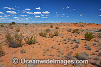 Outback desert landscape Photo - Gary Bell