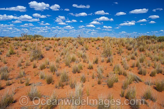 Outback Broken Hill photo