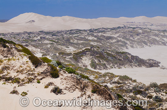Coffin Bay Sand Dunes photo