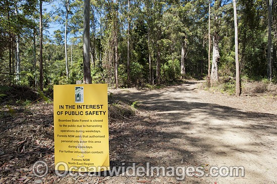 Forest Logging signage photo