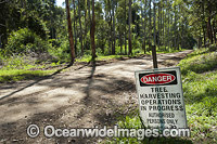 Forest Logging signage Photo - Gary Bell