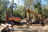 Logging harvested trees Photo - Gary Bell