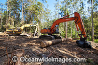 Logging machinery Photo - Gary Bell