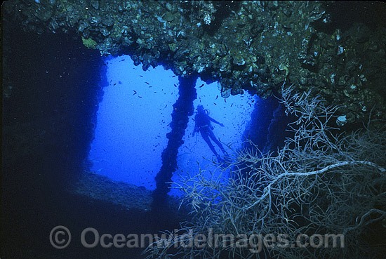 Yongala Shipwreck and Scuba Diver photo