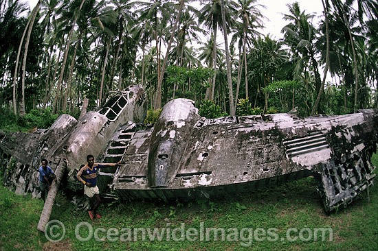 World War II Japanese aircraft wreck photo