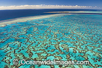 Wistari Reef Lagoon and Heron Island Photo - Gary Bell