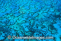 Wistari Reef Lagoon Photo - Gary Bell